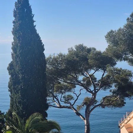 Le Petit Levant Sea View * Cavalaire-sur-Mer